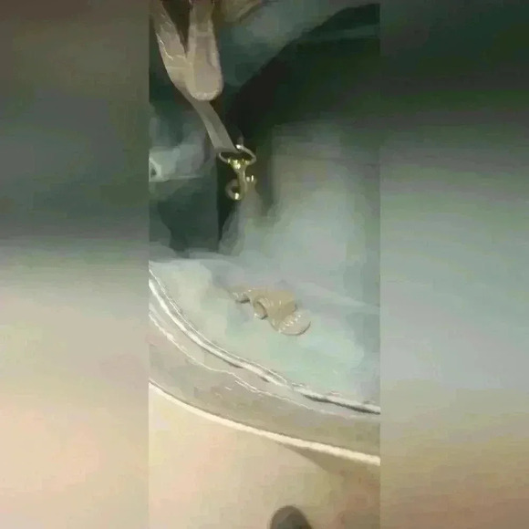 Brahmin Croc Skin Purse - Picture 15 of 16